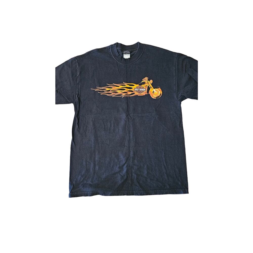 Double Sided Y2K Harley Davidson Flames Chandler, AZ size large tshirt